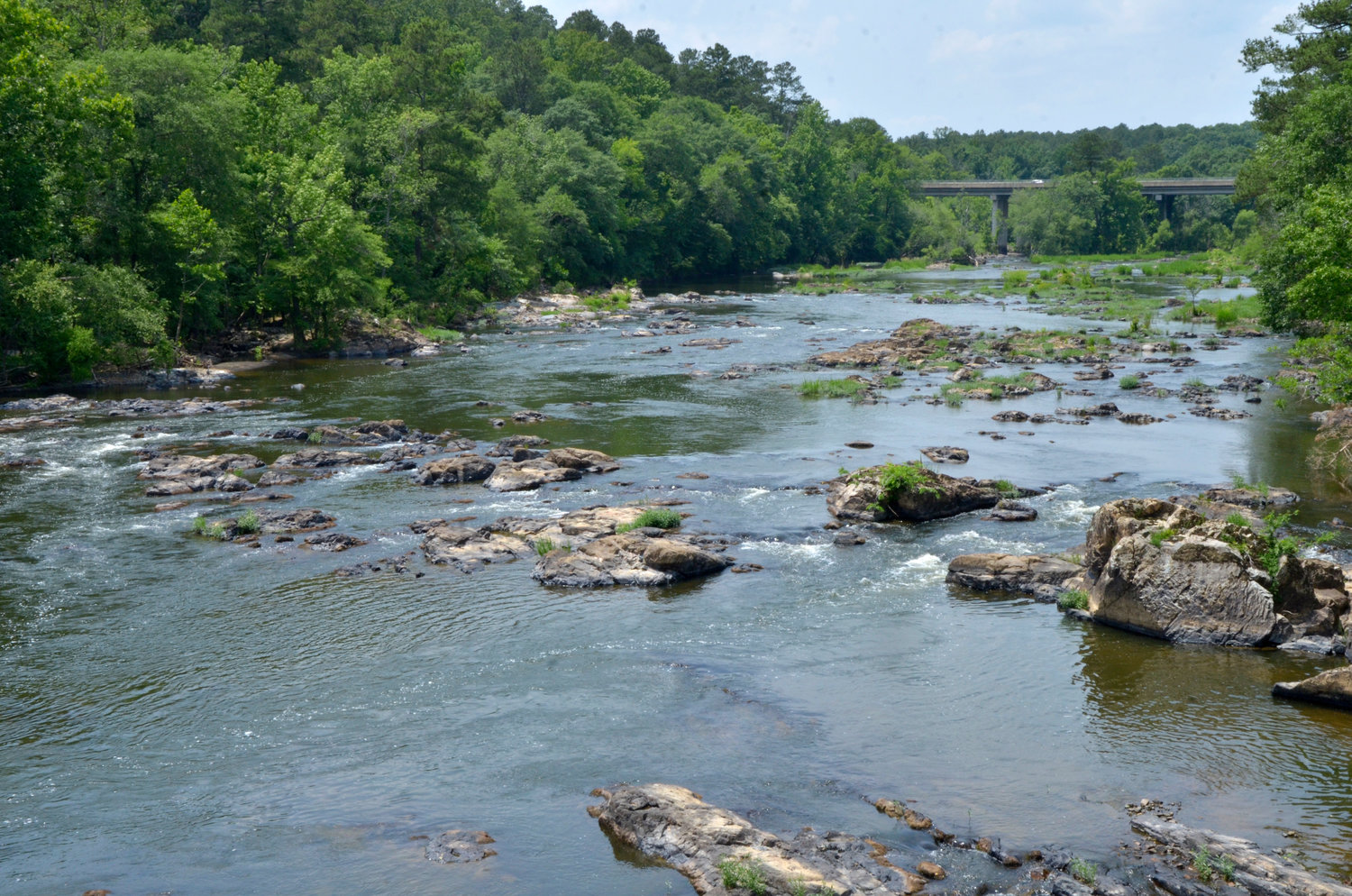 Pictured here is the Haw River, which flows through Pittsboro and supplies the town with its drinking water, and is 'one of the most impacted' waterways in terms of unregulated chemicals in the Cape Fear Basin.