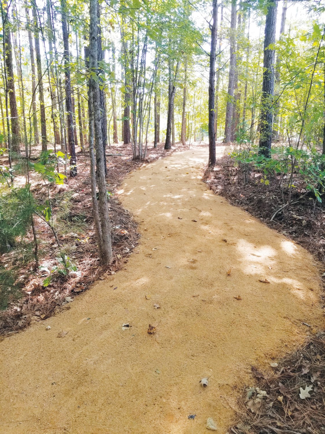 Part of the 'Peacful Pathway,' located at Northeast District Park at 5408 Big Woods Rd., Chapel Hill.